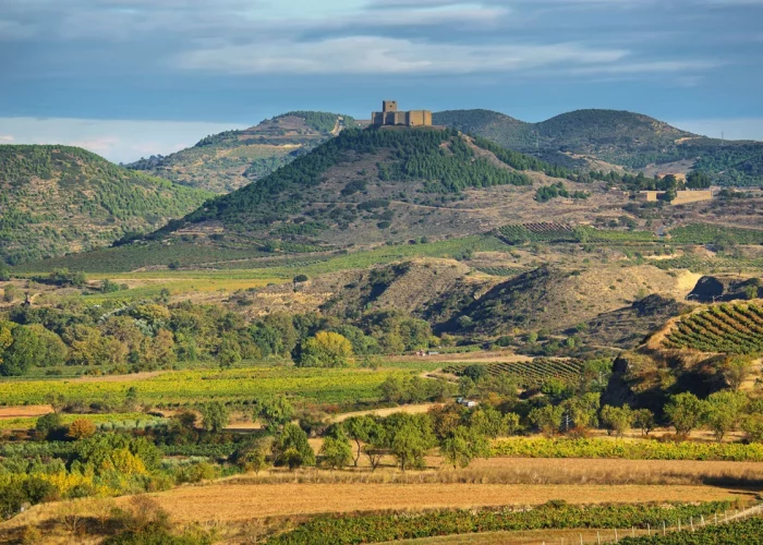 Découvrez les vignobles espagnols d’exception incontournables