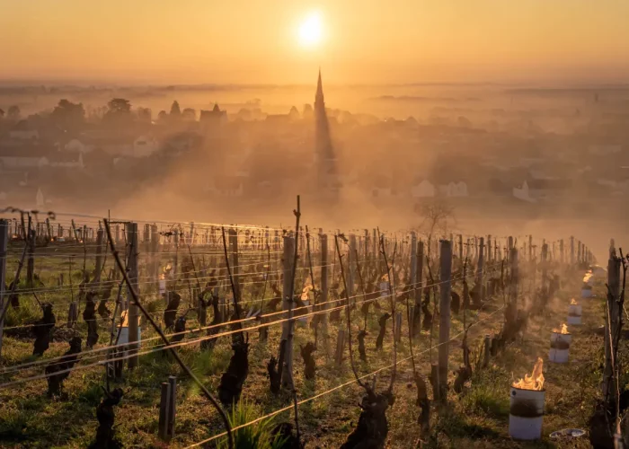 Original : parcourir la route des vins d’Alsace en voiture de luxe